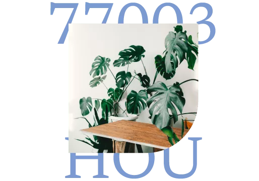 77003 HOU